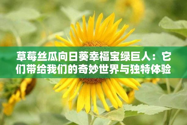 草莓丝瓜向日葵幸福宝绿巨人：它们带给我们的奇妙世界与独特体验