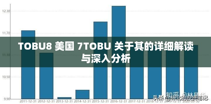 TOBU8 美国 7TOBU 关于其的详细解读与深入分析