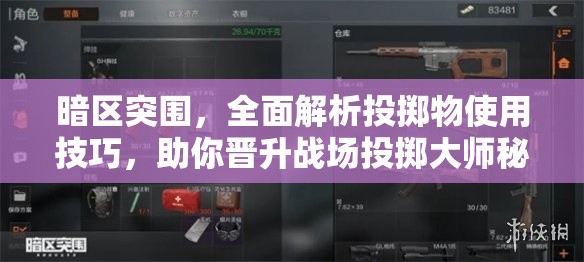 暗区突围，全面解析投掷物使用技巧，助你晋升战场投掷大师秘籍