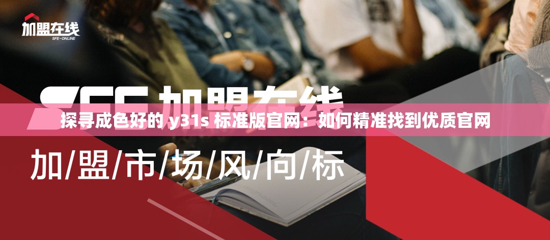 探寻成色好的 y31s 标准版官网：如何精准找到优质官网