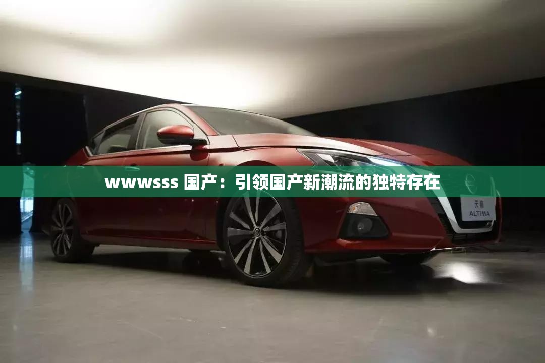wwwsss 国产：引领国产新潮流的独特存在