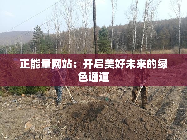 正能量网站：开启美好未来的绿色通道