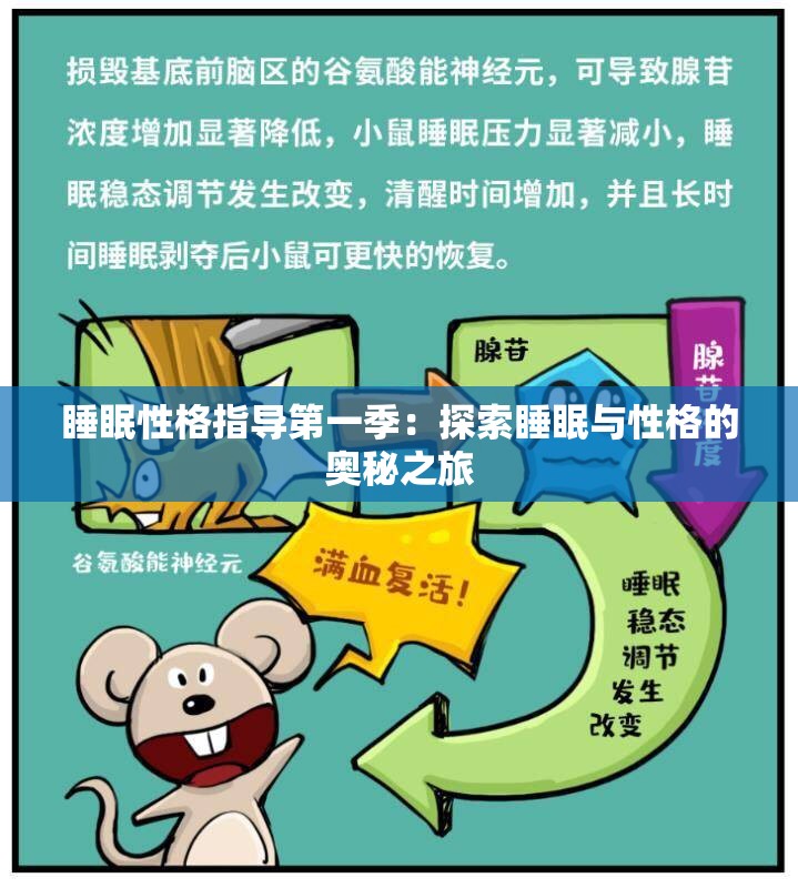 睡眠性格指导第一季：探索睡眠与性格的奥秘之旅