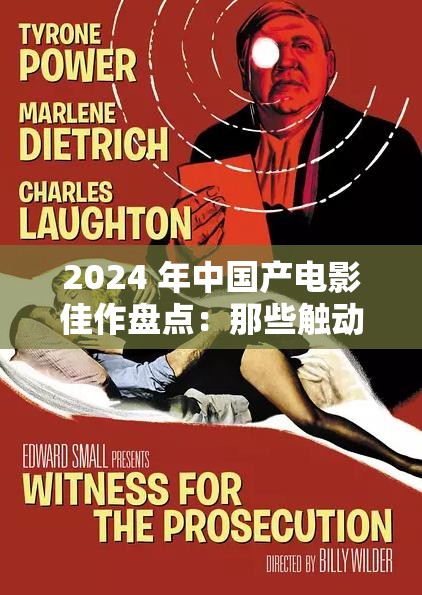 2024 年中国产电影佳作盘点：那些触动心灵的光影之旅