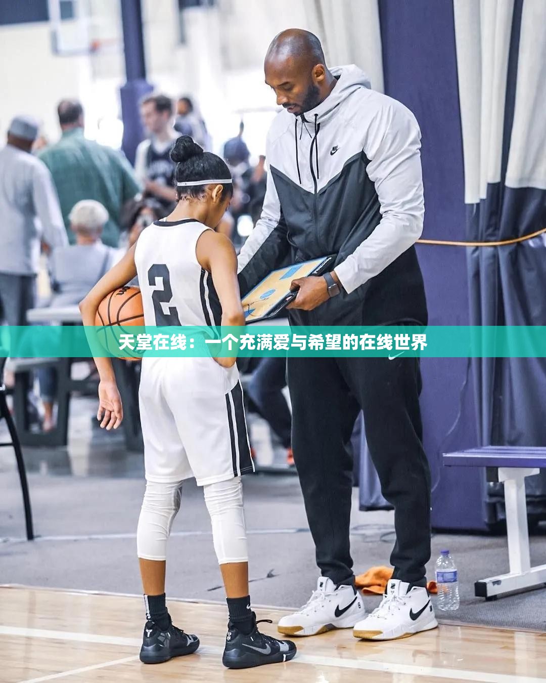 天堂在线：一个充满爱与希望的在线世界