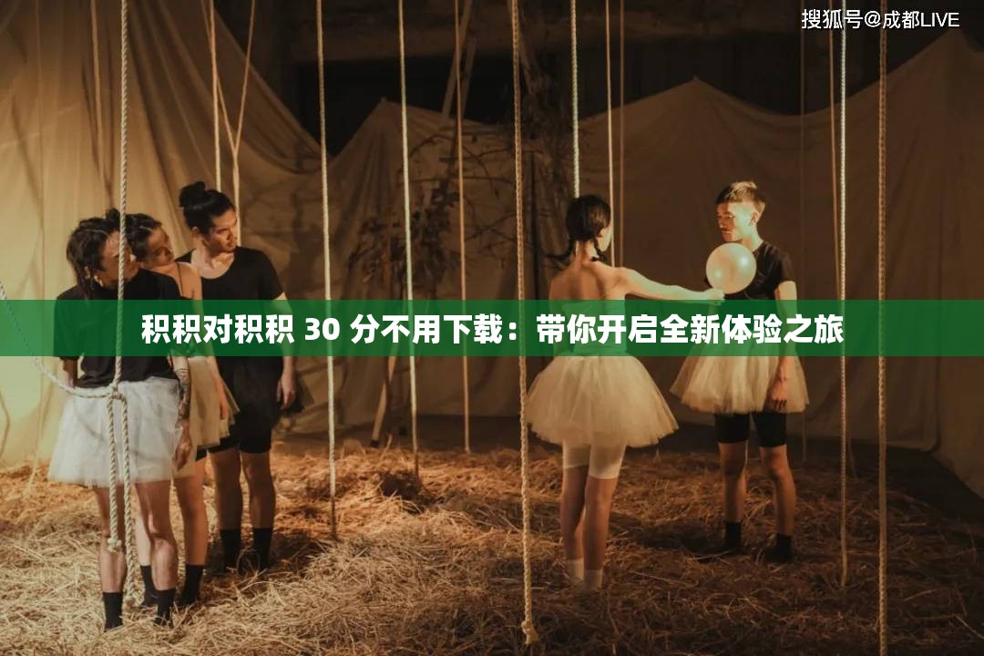 积积对积积 30 分不用下载：带你开启全新体验之旅