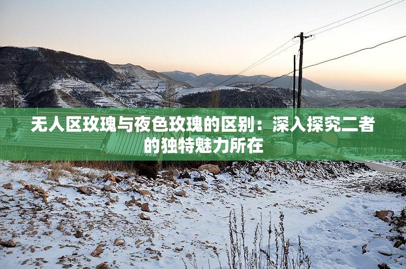 无人区玫瑰与夜色玫瑰的区别：深入探究二者的独特魅力所在