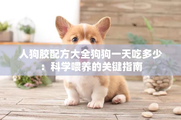 人狗胶配方大全狗狗一天吃多少：科学喂养的关键指南