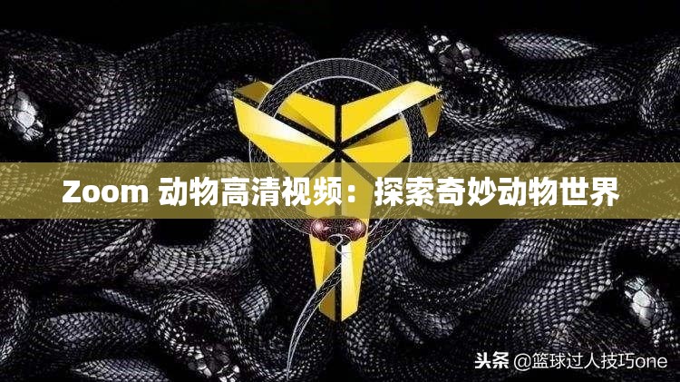 Zoom 动物高清视频：探索奇妙动物世界