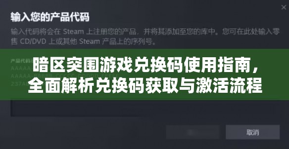 暗区突围游戏兑换码使用指南，全面解析兑换码获取与激活流程