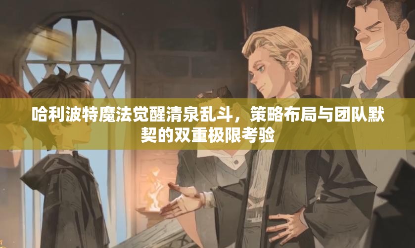 哈利波特魔法觉醒清泉乱斗，策略布局与团队默契的双重极限考验