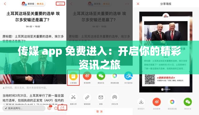 传媒 app 免费进入：开启你的精彩资讯之旅