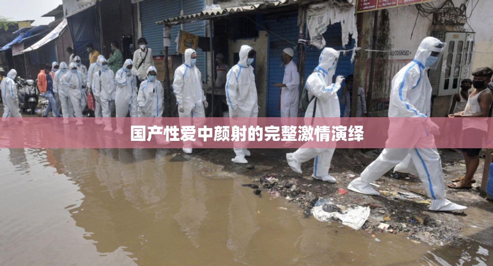 国产性爱中颜射的完整激情演绎