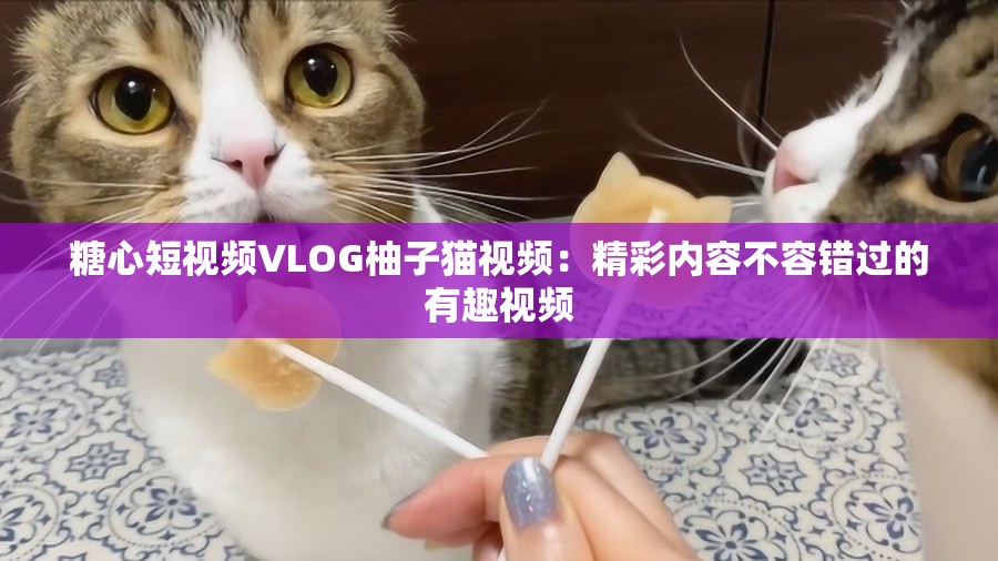 糖心短视频VLOG柚子猫视频：精彩内容不容错过的有趣视频