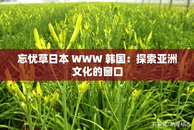 忘忧草日本 WWW 韩国：探索亚洲文化的窗口