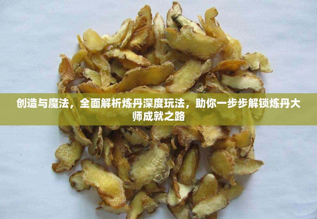 创造与魔法，全面解析炼丹深度玩法，助你一步步解锁炼丹大师成就之路