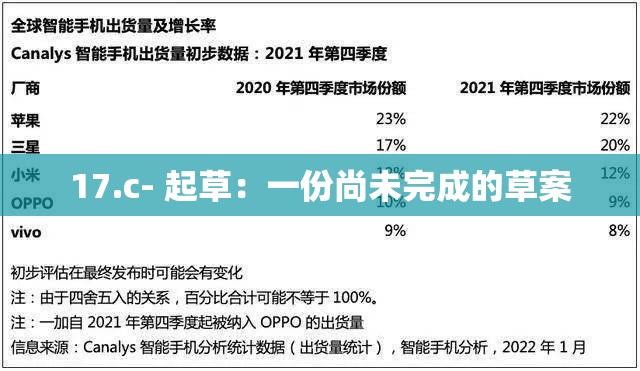 17.c- 起草：一份尚未完成的草案