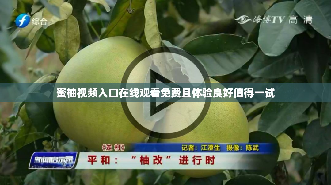 蜜柚视频入口在线观看免费且体验良好值得一试