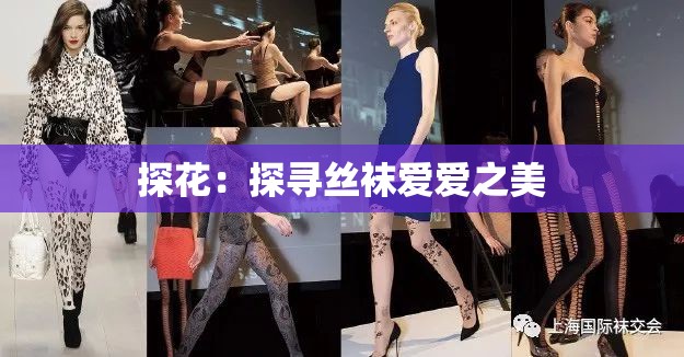 探花：探寻丝袜爱爱之美