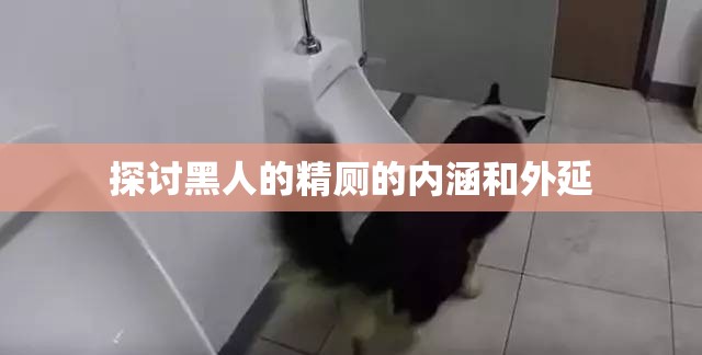 探讨黑人的精厕的内涵和外延