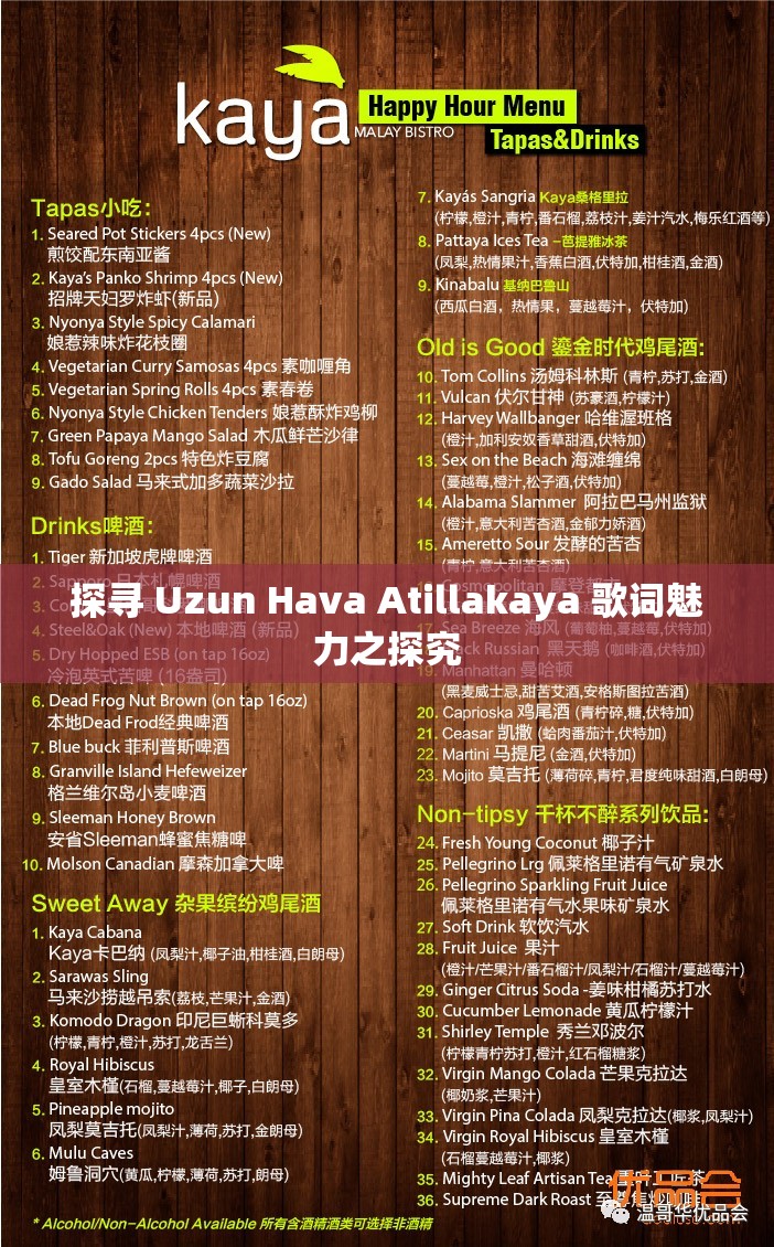 探寻 Uzun Hava Atillakaya 歌词魅力之探究