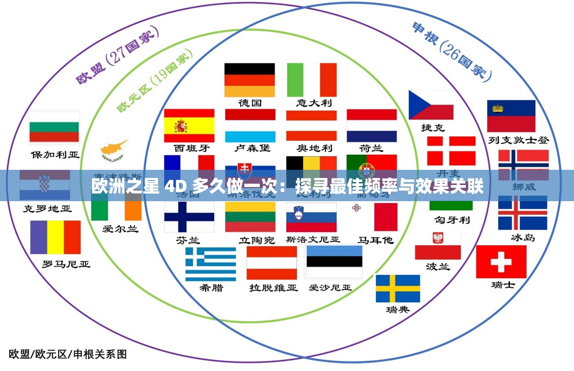 欧洲之星 4D 多久做一次：探寻最佳频率与效果关联