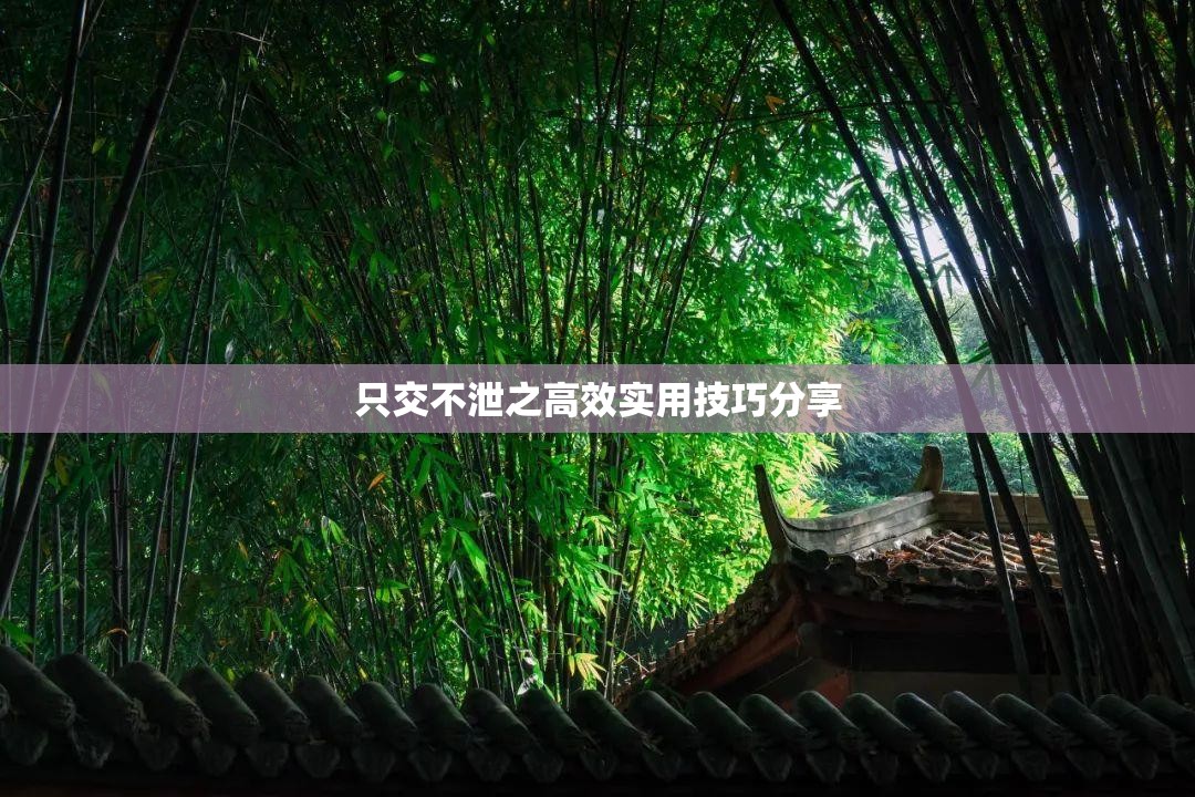 只交不泄之高效实用技巧分享