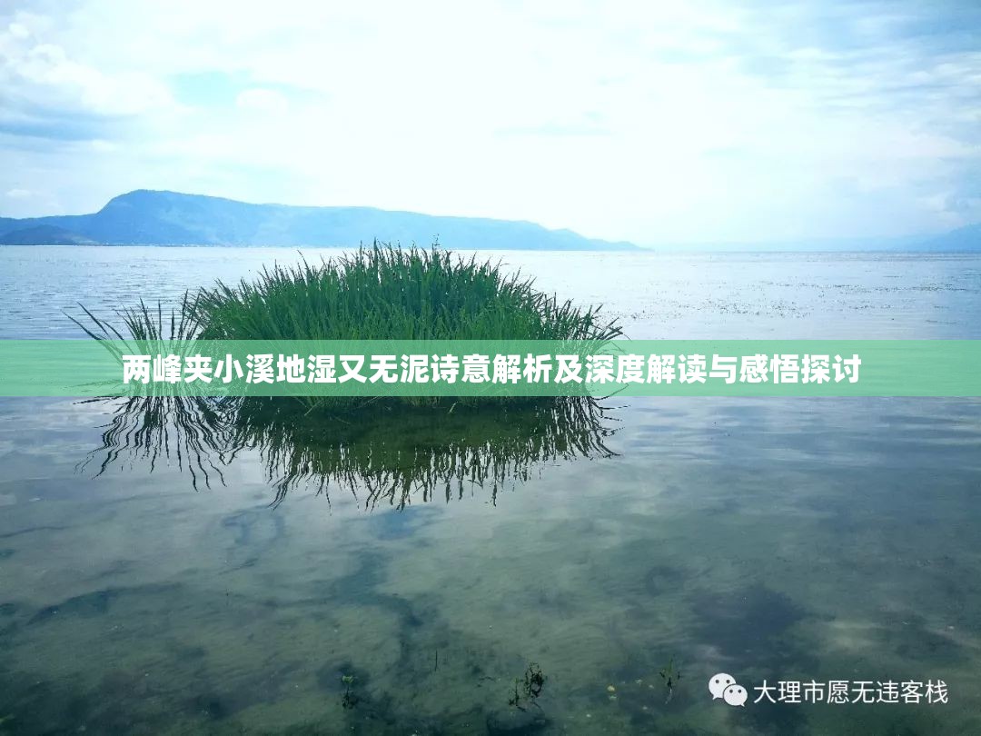 两峰夹小溪地湿又无泥诗意解析及深度解读与感悟探讨