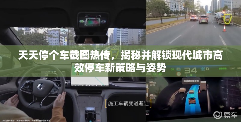 天天停个车截图热传，揭秘并解锁现代城市高效停车新策略与姿势