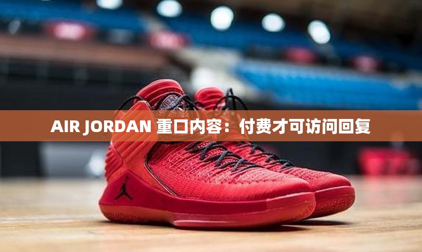 AIR JORDAN 重口内容：付费才可访问回复