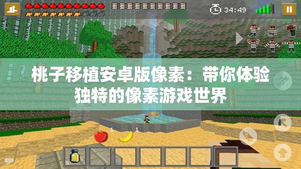 桃子移植安卓版像素：带你体验独特的像素游戏世界
