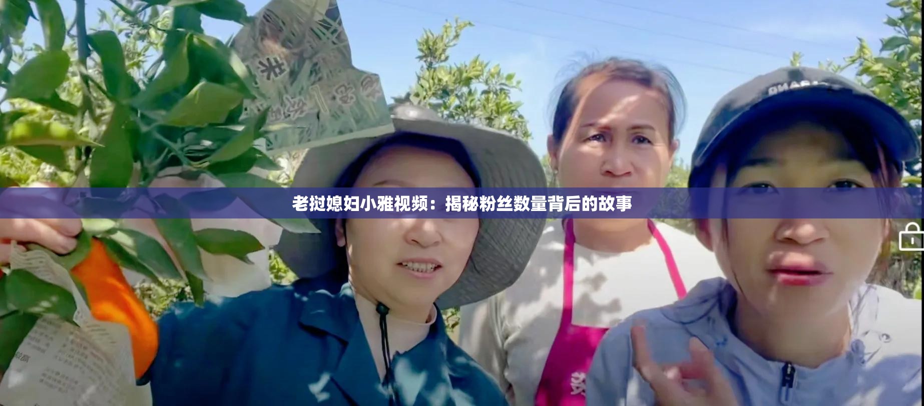 老挝媳妇小雅视频：揭秘粉丝数量背后的故事