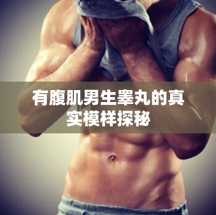 有腹肌男生睾丸的真实模样探秘
