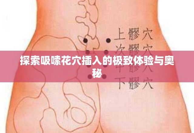 探索吸嗦花穴插入的极致体验与奥秘