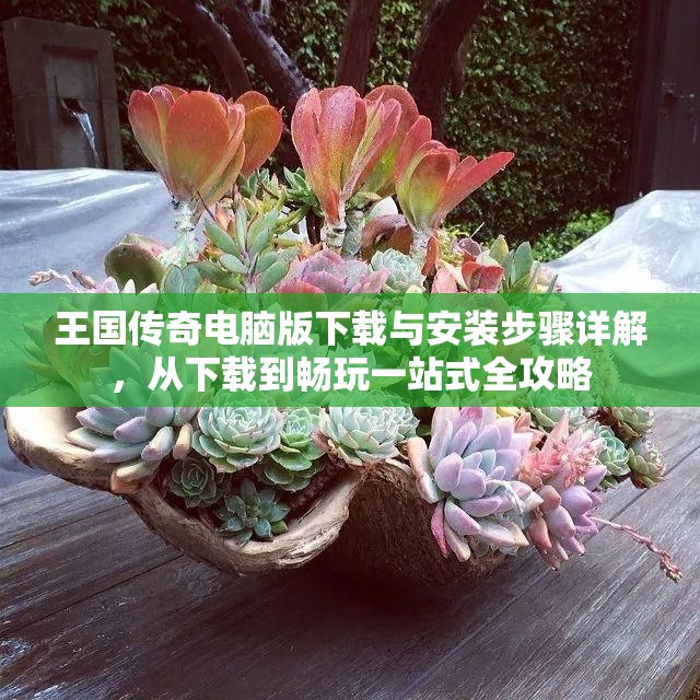 王国传奇电脑版下载与安装步骤详解，从下载到畅玩一站式全攻略