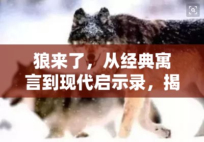 狼来了，从经典寓言到现代启示录，揭示诚信与责任的重要性