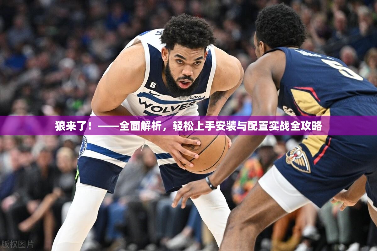 狼来了！——全面解析，轻松上手安装与配置实战全攻略