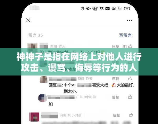 神神子是指在网络上对他人进行攻击、谩骂、侮辱等行为的人