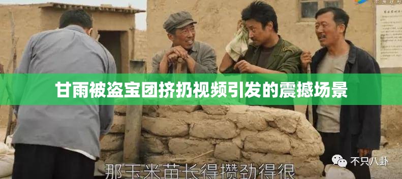 甘雨被盗宝团挤扔视频引发的震撼场景