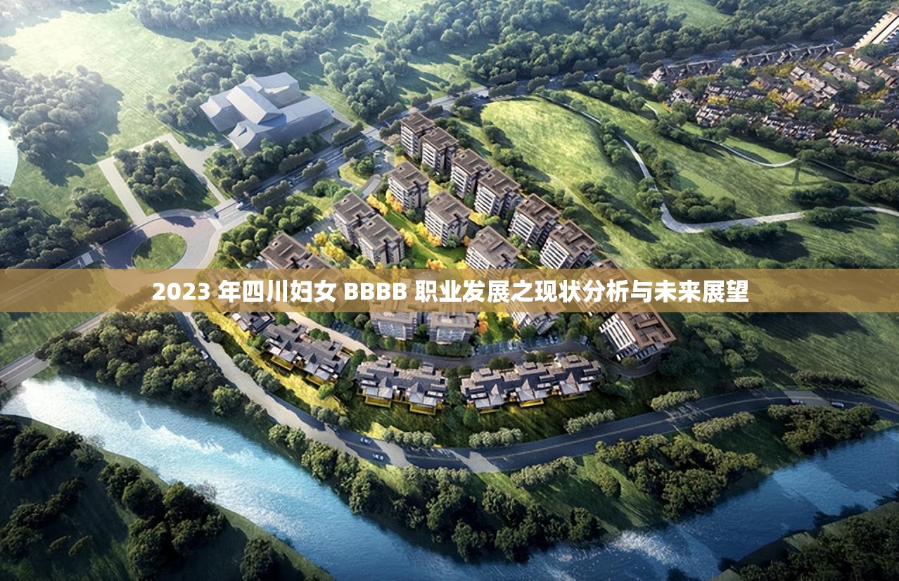 2023 年四川妇女 BBBB 职业发展之现状分析与未来展望