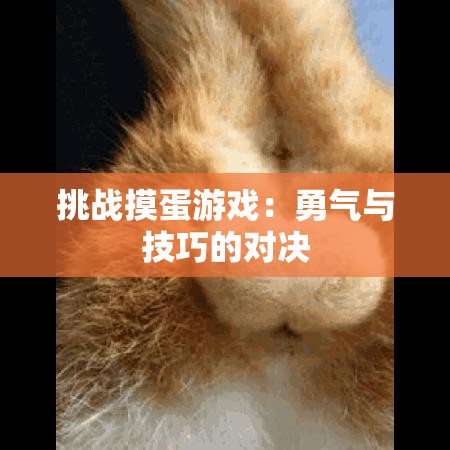 挑战摸蛋游戏：勇气与技巧的对决