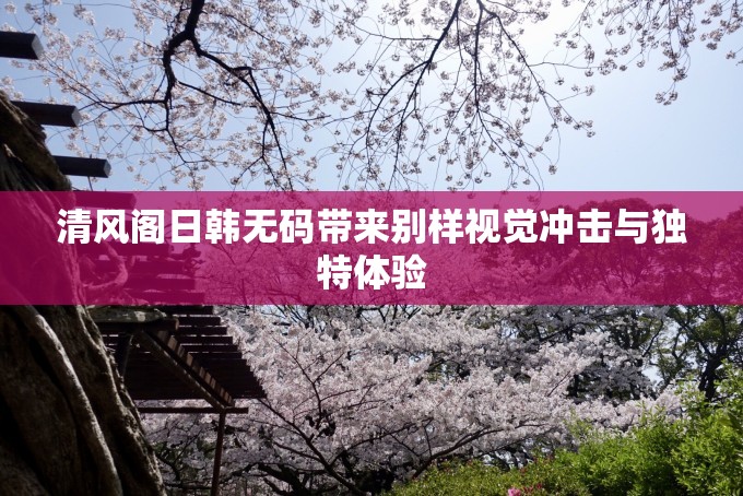 清风阁日韩无码带来别样视觉冲击与独特体验