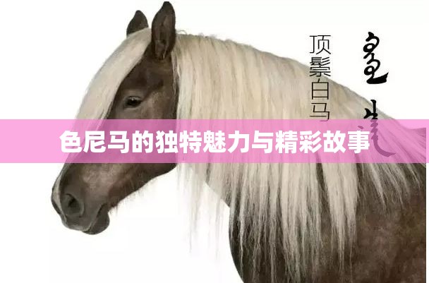 色尼马的独特魅力与精彩故事