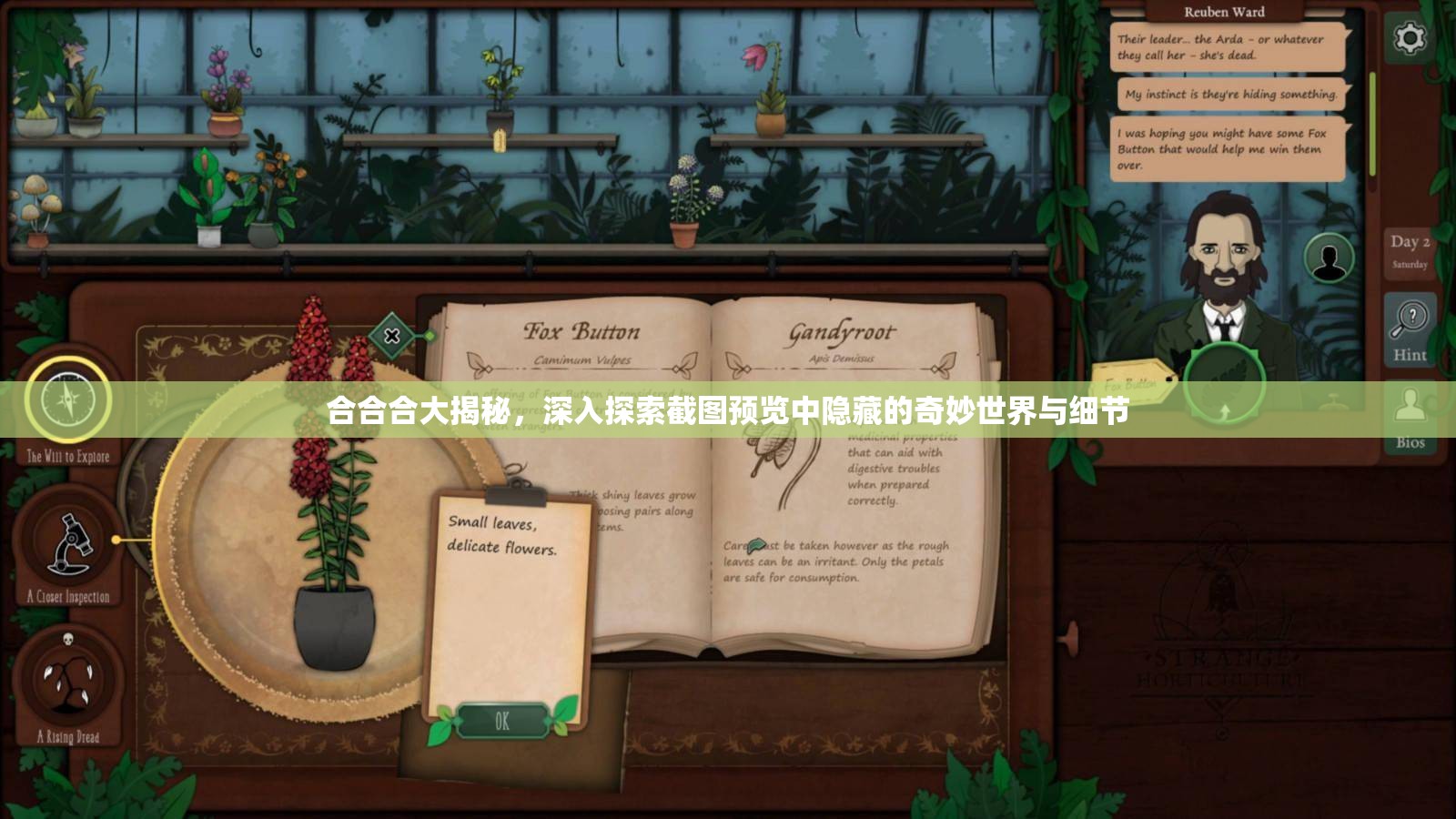 合合合大揭秘，深入探索截图预览中隐藏的奇妙世界与细节