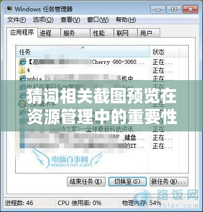 猜词相关截图预览在资源管理中的重要性及其高效利用策略探讨