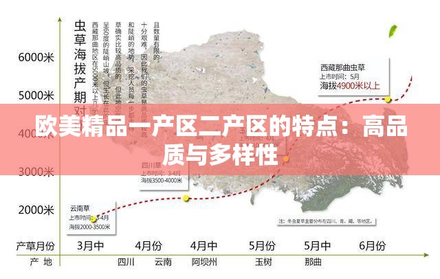 欧美精品一产区二产区的特点：高品质与多样性