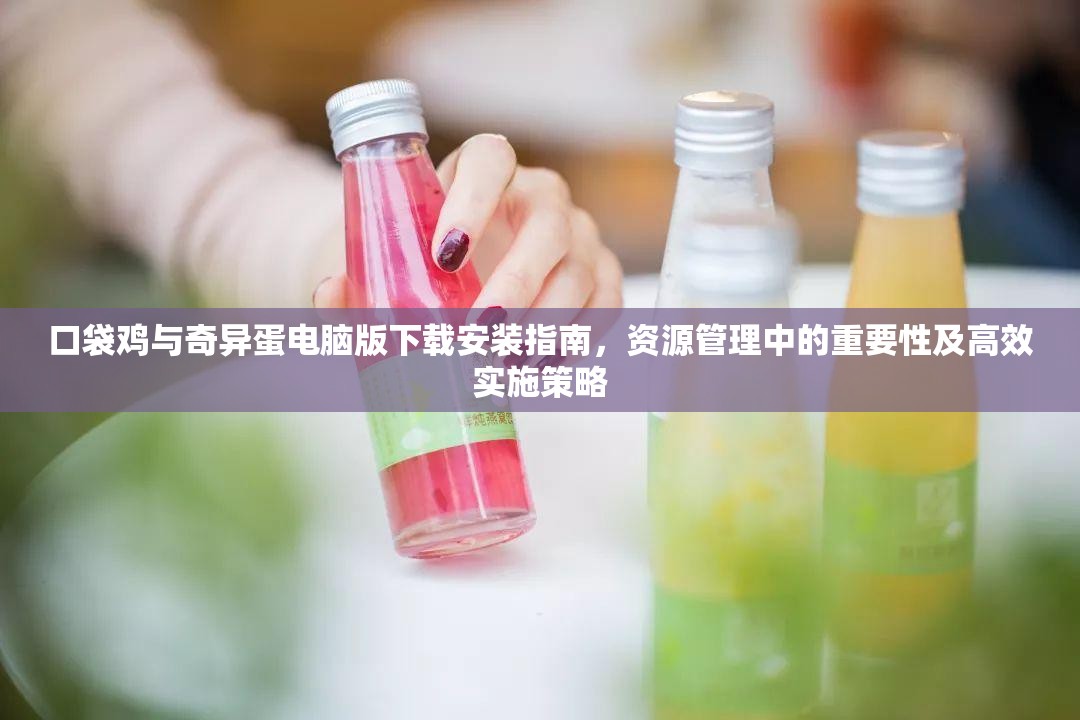 口袋鸡与奇异蛋电脑版下载安装指南，资源管理中的重要性及高效实施策略