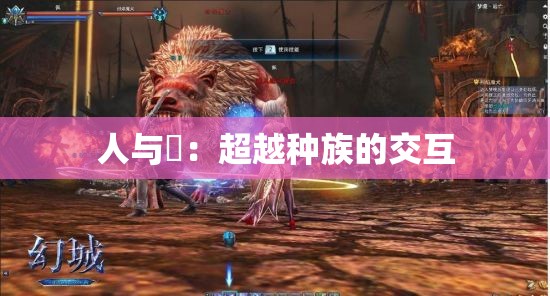 人与嘼：超越种族的交互