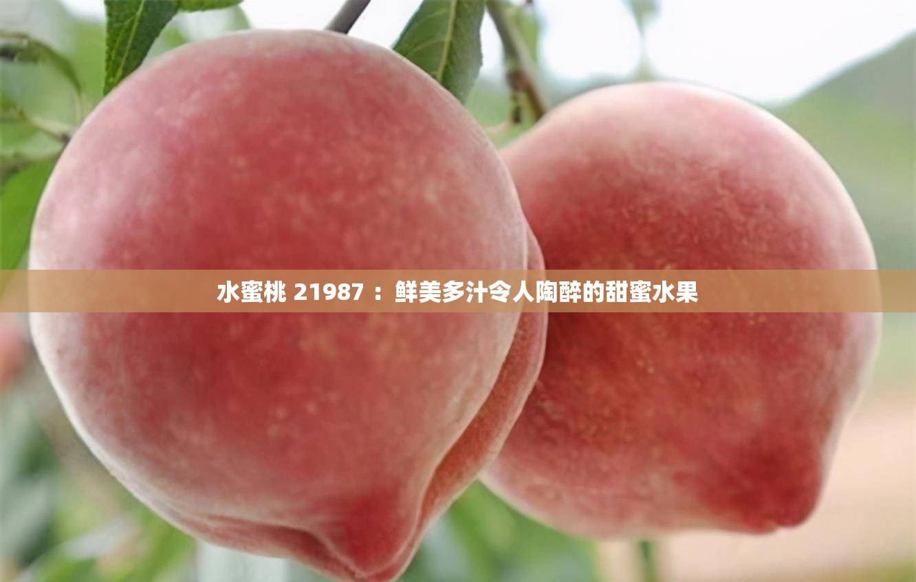 水蜜桃 21987 ：鲜美多汁令人陶醉的甜蜜水果