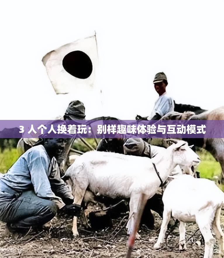 3 人个人换着玩：别样趣味体验与互动模式